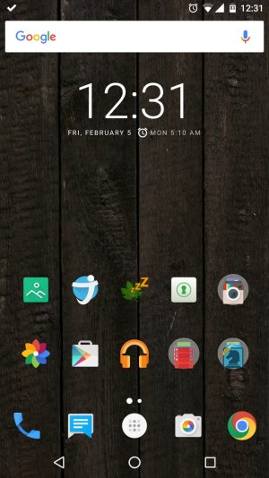Screenshot (Feb 5, 2016 12-31-03 PM).jpg