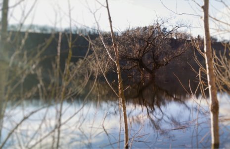 ImageUploadedByTapatalk1458065589.610490.jpg