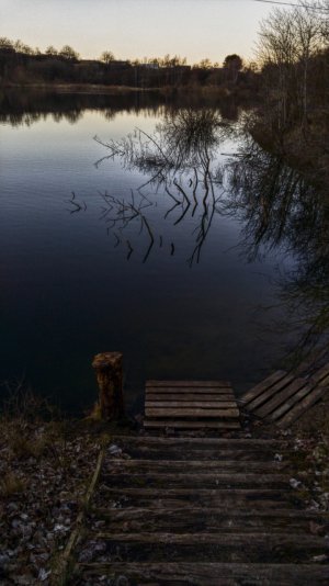 ImageUploadedByTapatalk1458065626.153124.jpg