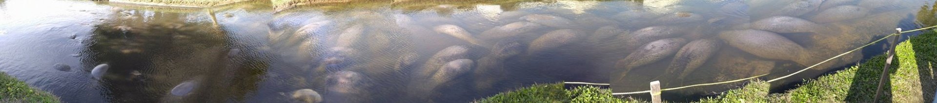 12710889_10203967407384769_1010525859447294499_o.jpg
