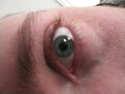 IMG_20121214_122556.jpg
