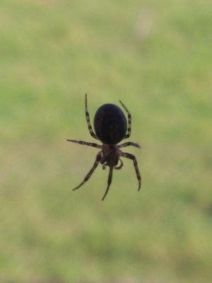 DSC_0064.jpg