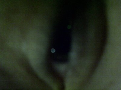 Wilders-20111223-00042.jpg
