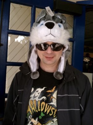 wolfhat.jpg