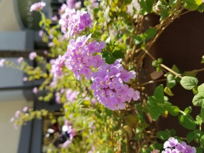 20160301_150928.jpg