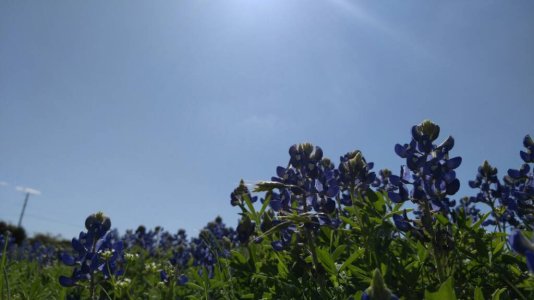 1458453000486.jpg