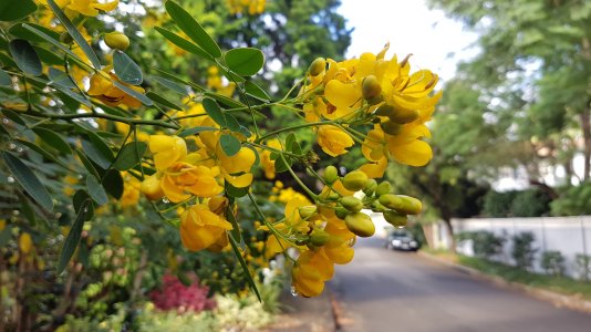 20160317_094742.jpg