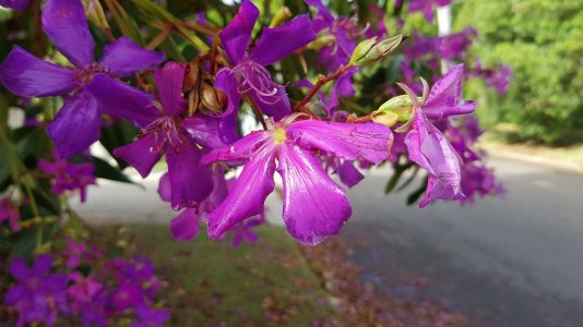 20160317_094928.jpg