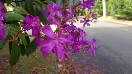 20160317_094936.jpg