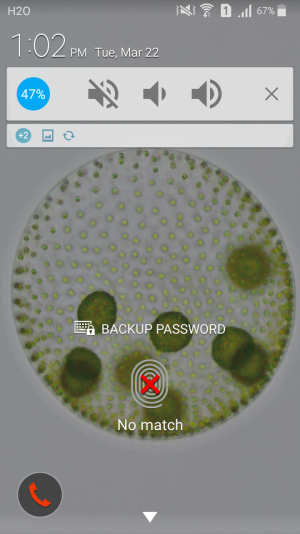Screenshot_2016-03-22-13-02-13.png