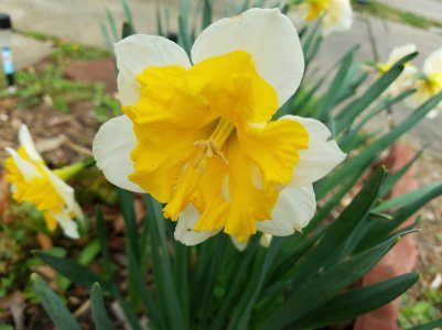 20160401_111341[1].jpg