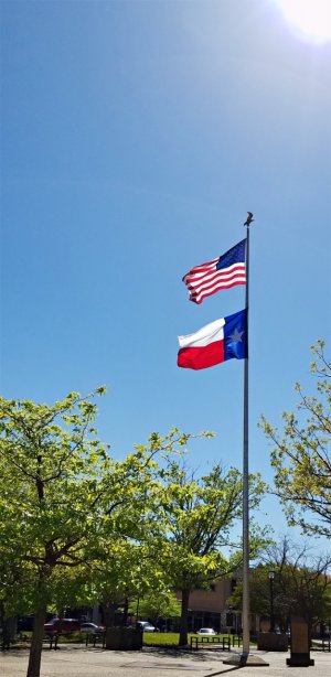 S7-Flags.jpg