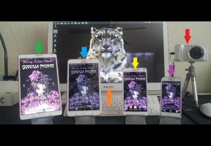Samsung Contest.jpg