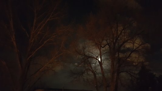 20160324_223652.jpg