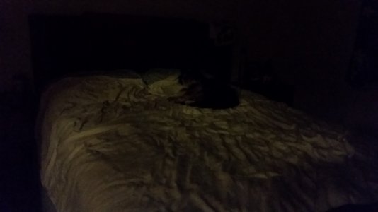 2016-03-09 22.50.06.jpg