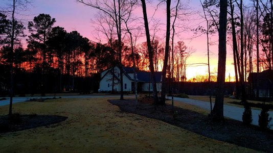 2016-02-07 18.07.04.jpg