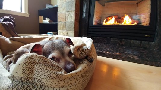 20160410_113817.jpg