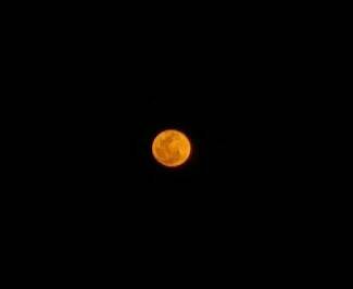 20160323_202336-1-1.jpg