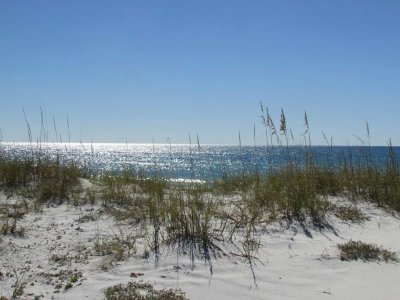 FB_IMG_1413676093910[1].jpg