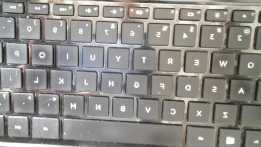 20788.jpg