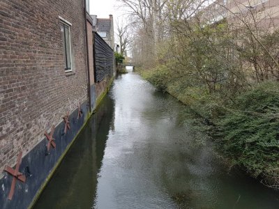 1459199602731.jpg