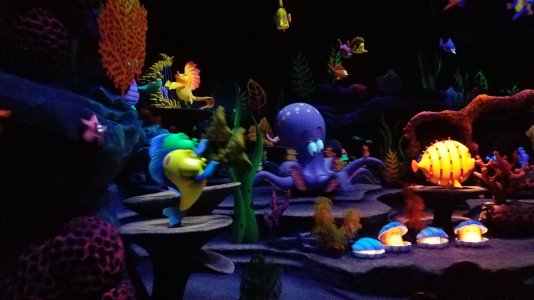 20160412_143510.jpg