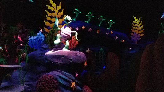 20160412_143539.jpg