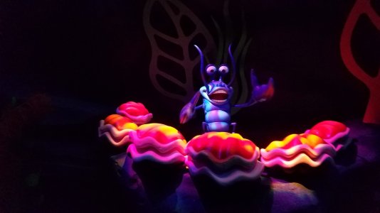 20160412_143555.jpg