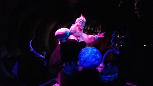 20160412_143727.jpg