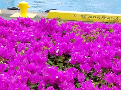 20160320_125358.jpg