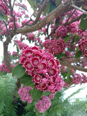 IMG_20160507_164922024.jpg