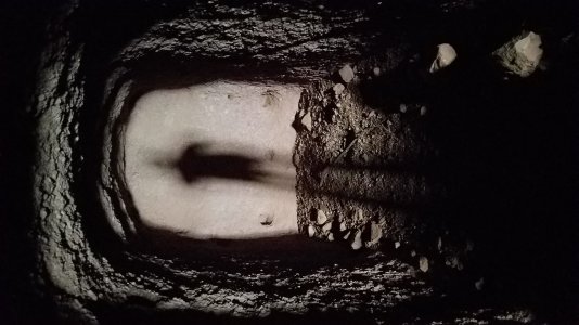 20160318_135609.jpg