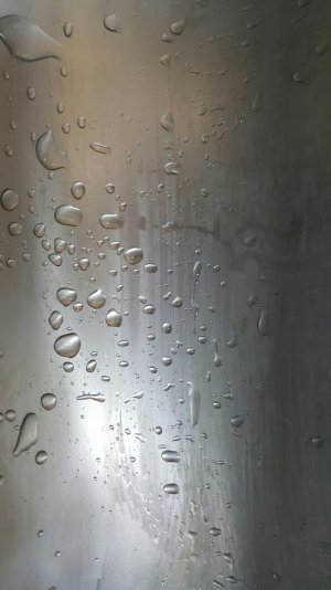 20160329_165303 1.jpg