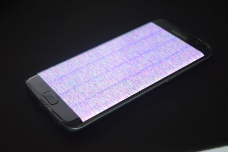 13147946_1176411442398888_636575883_o.jpg 13147946_1176411442398888_636575883_o.jpg