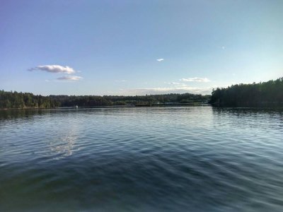 370.jpg
