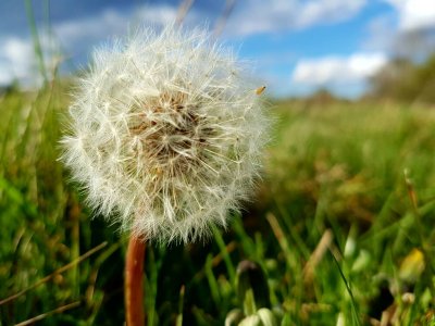 20160416_172550.jpg