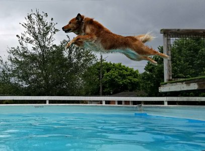 20160416_132941_014 PM.jpg