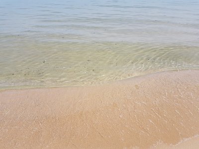 20160401_134202.jpg