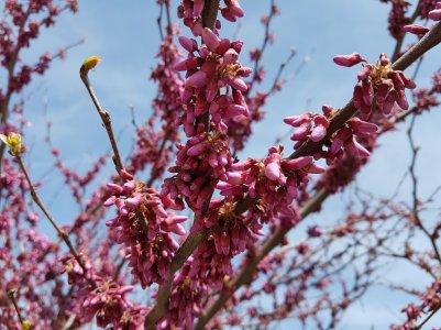 20160401_135137.jpg