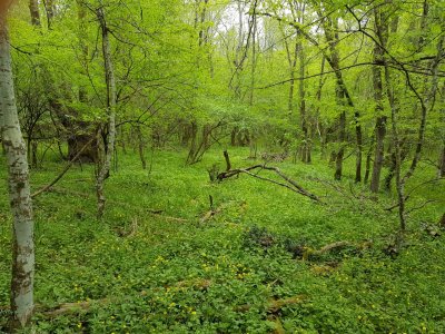 20160420_163740.jpg