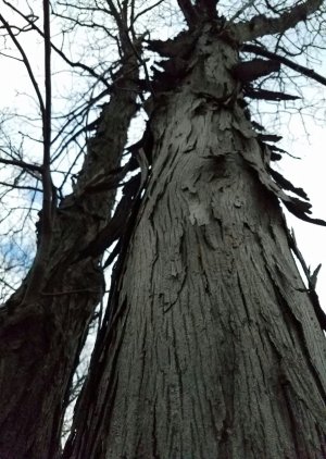 20160329_093513.jpg