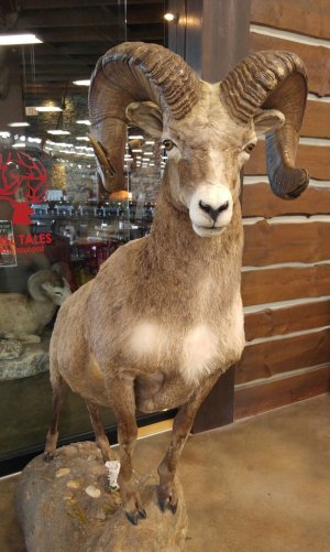20160327_152205.jpg