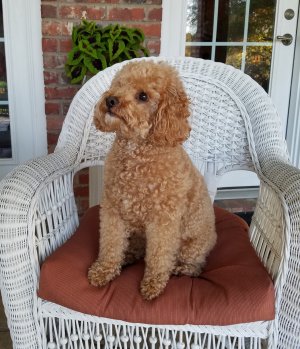 WinstonNoFix.jpg