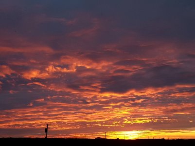 20160614_214954.jpg