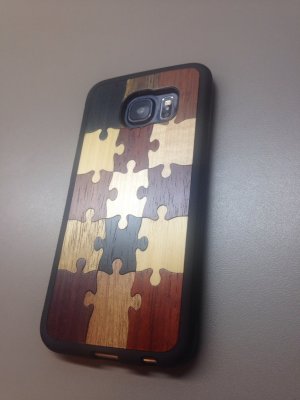 CaseWPhone.jpg