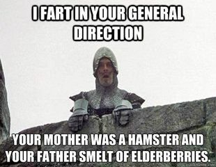 I fart in your general direction.jpg