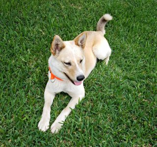 Howie-4-26-16.jpg