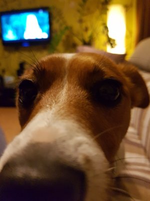 20160318_220323.jpg