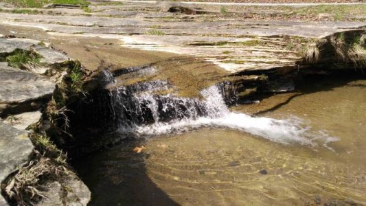 20160319_130822.jpg