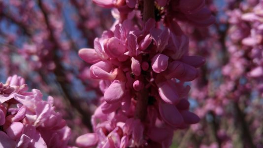 20160402_140123.jpg